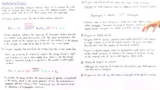 Properties of Enzymes [upl. by Lletnahs779]