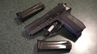 Sig Sauer Sig Pro SP 2009 9mm Tabletop Review [upl. by Tinor637]