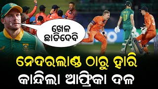 Netherlands wins Against South Africa  Sa vs Ned Highlights  Sa vs Ned full match highlights today [upl. by Merritt]