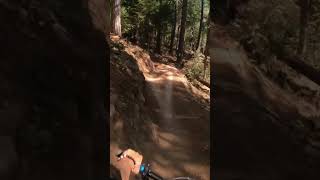 Falcon trail double gap w Noyping gala POV🎥 [upl. by Kipton156]