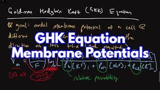 Goldman Hodgkin Katz GHK Equation for Modeling Cell Membrane Potential [upl. by Carbrey]