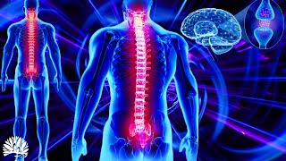 528hz Super Recovery Healing Frequency Whole Body RegenerationCell Nerve Damage Repair Healing [upl. by Nwahsat]