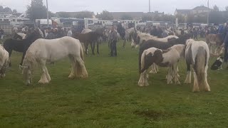 Ballinasloe horse fair 2022 Great crowd great weather great to be back [upl. by Maiocco]