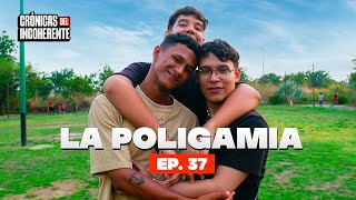 Poligamia en el parque  EP 37 [upl. by Anitnuahs193]