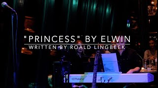 PRINCESS  ELWIN written by ROALD [upl. by Lib]