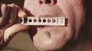 How to play 12barBlues on Bluesharp tongueblocking HotschiGotschiLick Part II [upl. by Janela]