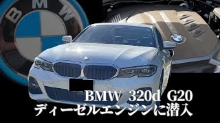 BMW 320i G20G21 ディーゼルエンジンに潜入 [upl. by Anson]