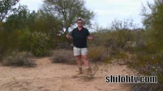 How to Hunt with a Cold Steel Blowgun [upl. by Gibbons]