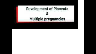 Development of Placenta and Multiple pregnancies [upl. by Ylhsa]