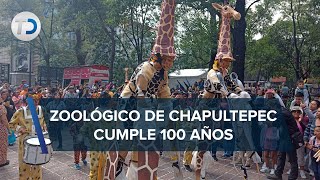 Zoológico de Chapultepec cumple 100 años celebran con desfile [upl. by Lennon]