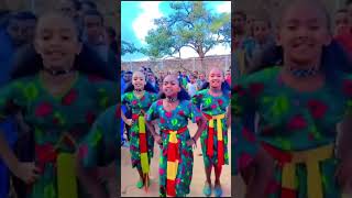 New Ethiopian Music Tigrigna traditional dance video 2024 Official Video [upl. by Pip]