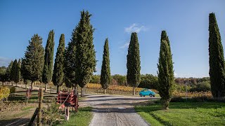 Een tweede kans  Jubileumseizoen Wie is de Mol [upl. by Annalee]