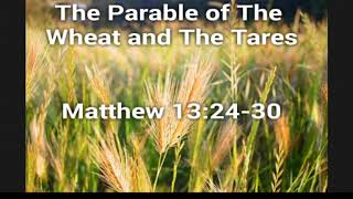 Parable Of The Wheat And The Tares  Matthew 132430 KJV Bible [upl. by Gardie]