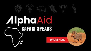 Alpha Aid Safari Speak Series African Warthog [upl. by Jerrie]