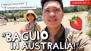 VLOGMAS DAY 11 quotLITTLE BAGUIO IN AUSTRALIAquot 😱🍓 PINAKYAW KO STRAWBERRIES 🤣  Kimpoy Feliciano [upl. by Anoyk811]