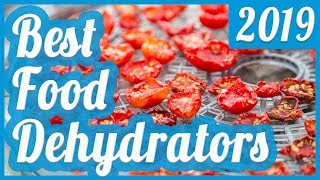 Best Food Dehydrator To Buy In 2019 [upl. by Vigor692]