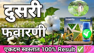 कपाशीवरील दुसरी फवारणीSolomon insecticideBiovita x  kitazin insecticide [upl. by Richard438]