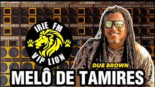 melô de tamiresirie fm vip liondub brow [upl. by Randal]