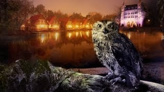 Efteling Bosrijk commercial 2013  Efteling [upl. by Naghem920]