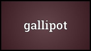 Gallipot Meaning [upl. by Leanard37]