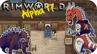 Rimworld Alpha 17  8 Epidemic  Lets Play Rimworld Gameplay [upl. by Basil]