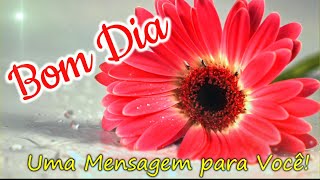 Mensagem de Bom dia Para Você  Linda Reflexão [upl. by Adine]