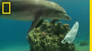 How We Can Keep Plastics Out of Our Ocean  National Geographic [upl. by Andrei]