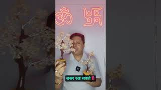 Citrine Quartz Tree Discover the Benefits of Citrine Crystal Tree सिट्रीन क्वार्ट्ज पेड़ के लाभ [upl. by Naleek]