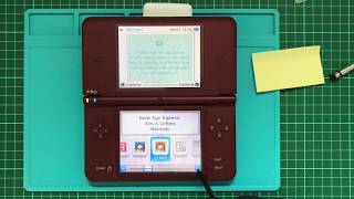 Nintendo DSi XL  Will formatting erase preinstalled Games [upl. by Nohsreg]