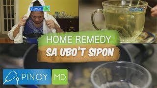 Pinoy MD Herbal medicines para sa ubo’t sipon alamin [upl. by Dearman294]