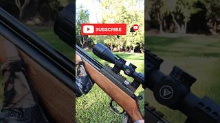 Evanix AR6K Hunting Master 22 plinking airguns pcp [upl. by Neelahs]