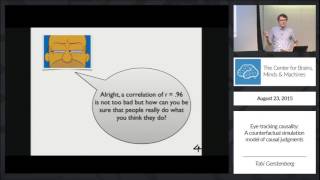 Eyetracking Causality A Counterfactual Simulation Model of Causal Judgments [upl. by Esined]