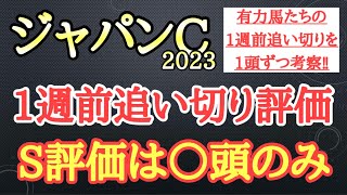 【ジャパンカップ2023】1週前追い切り評価！イクイノックスら有力馬の動きはどうだったのか？そして個人的追い切り1位はどの馬だ！？ [upl. by Haye]