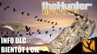 THEHUNTER COTW  L’OIE ARRIVE LE 18 JUILLET SUR CONSOLES [upl. by Yentruocal]