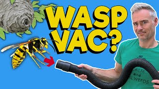 Fast and Easy WASP Nest Removal Method [upl. by Eiloj544]