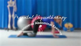 Prenatal Physiotherapy Transverse Abdominal Exercise [upl. by Gaudette]