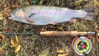 Fly Fishing at CucamongaGuasti Regional Park [upl. by Alenairam]