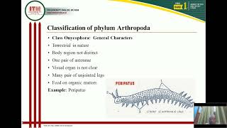 Classification of phylum Arthropoda up to classes English [upl. by Now]