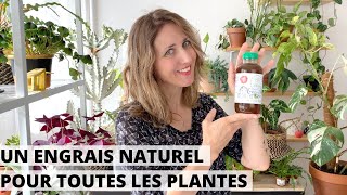 🌿 UN ENGRAIS NATUREL UTILISABLE TOUTE LANNÉE POUR TOUTES LES PLANTES  CEST POSSIBLE [upl. by Yarw]