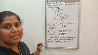 video explaining structure of bryophytes [upl. by Pik]