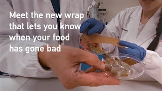 Innovative smart food wrap changes colour to indicate when food is spoilt [upl. by Nettie]