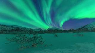 UNDER THE NORTHERN LIGHTS  AURORA BOREALIS REALTIME TROMSØ NORWAY [upl. by Aneehsram583]