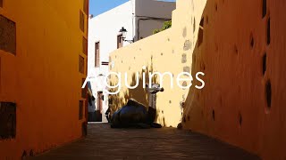 Aguimes  Gran Canaria  4K UHD  Virtual Trip [upl. by Olympias]