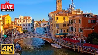 🔴 4K Live Cam of Ponte delle Guglie Venice  View from Hotel Leone Venezia  Live stream ライブカメラ [upl. by Ayoj376]