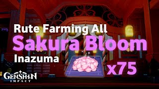 Panduan Farming Sakura Bloom di Inazuma  Panduan Genshin Impact [upl. by Papagena]