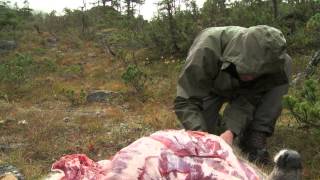 How to Quarter and Pack Game out of the Backcountry  Conservation Field Notes with Steven Rinella [upl. by Nivri]