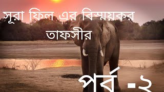 সূরা ফীল এর রহস্য উদঘাটন scientific Tafseer of sura Feel episode 2 [upl. by Kciredec351]