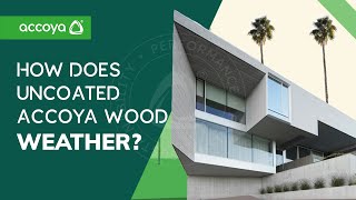 Accoya wood weathering  What to expect with uncoated Accoya [upl. by Thibaud339]