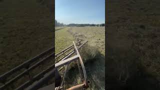 Raking hay￼ [upl. by Tymon]