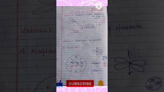 Meiosis Prophase 1  Leptotene  Zygotene  Pachytene  Diplotene  Diakinesis  Flow chart [upl. by Torin]